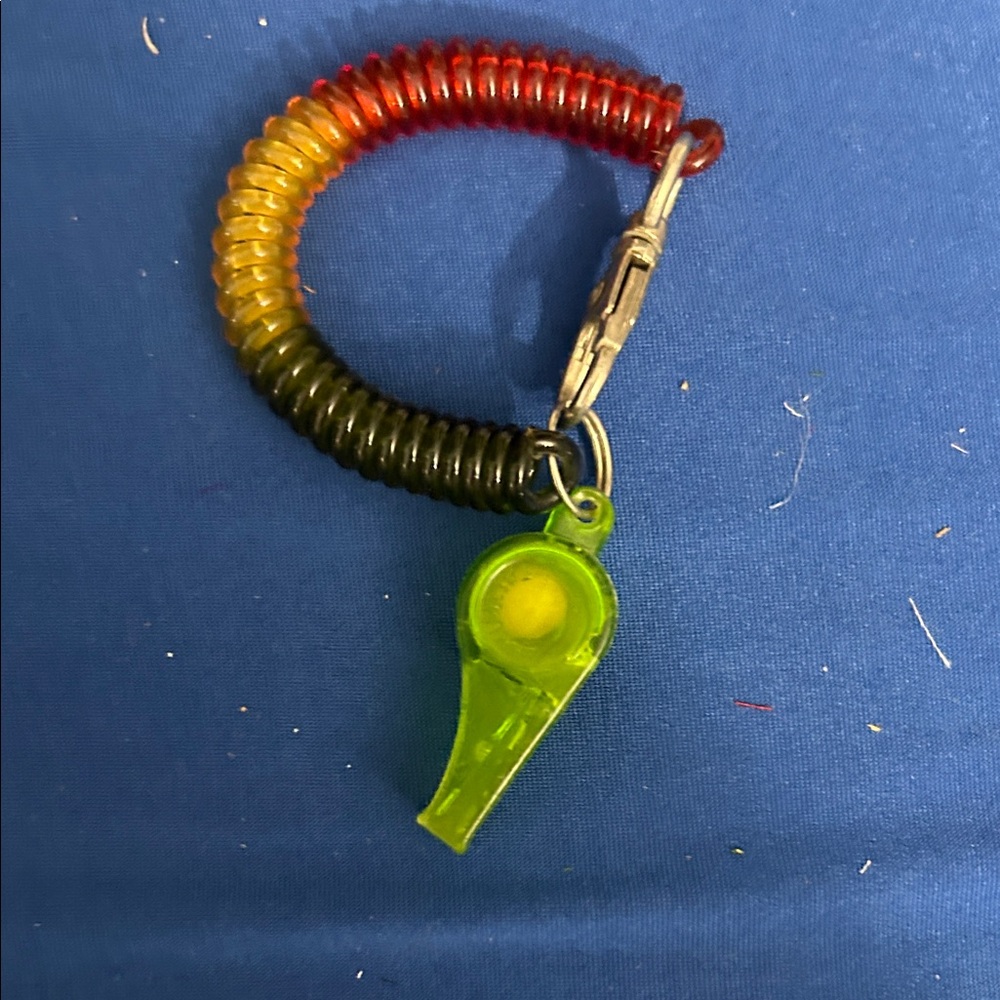Keychain Accessory - Black - Picture 6 of 7